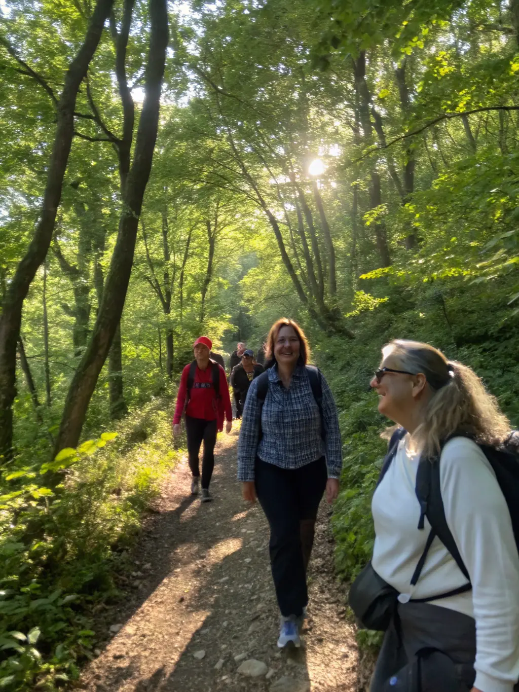 A group of hikers walking along a well-maintained trail in a forest, showcasing the hiking activity offered by LES CHEMINS DE MANSAC.